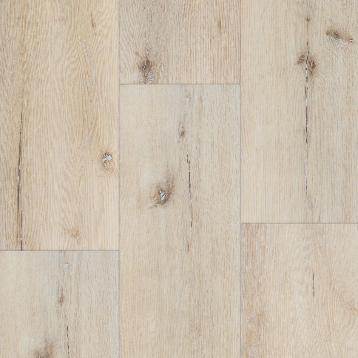 SPC AMARON ROVERE PANAMA - immagine 2