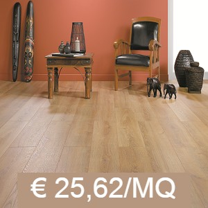 ||solid+ namur